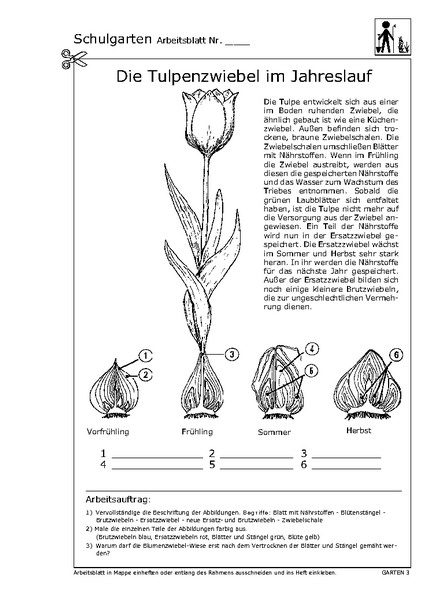 Hier klicken, um das Arbeitsblatt als PDF-Dokument anzeigen zu lassen!