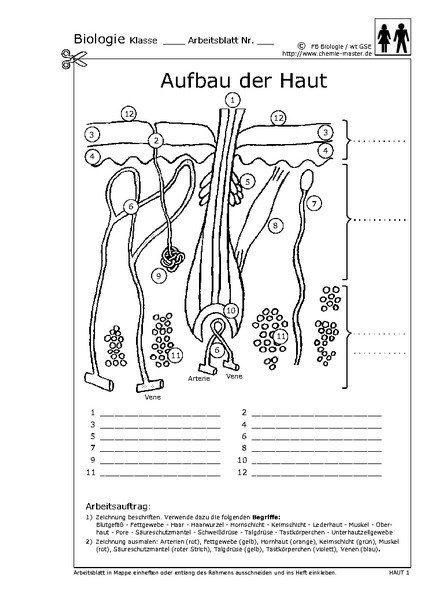 Hier klicken, um das Arbeitsblatt als PDF-Dokument anzeigen zu lassen!