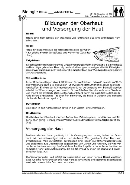 Hier klicken, um das Arbeitsblatt als PDF-Dokument anzeigen zu lassen!