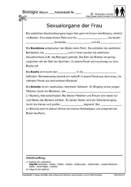 Hier klicken, um das Arbeitsblatt als PDF-Dokument anzeigen zu lassen!