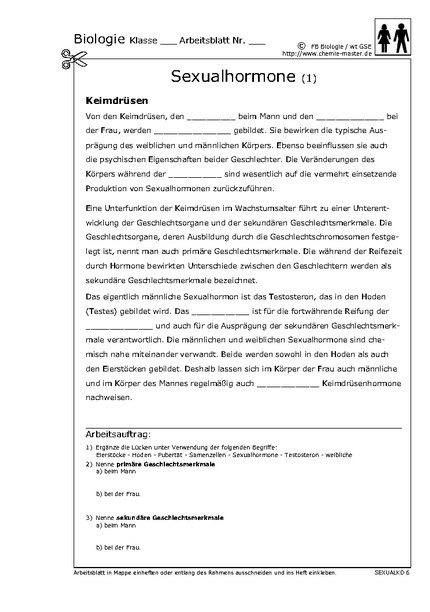 Hier klicken, um das Arbeitsblatt als PDF-Dokument anzeigen zu lassen!